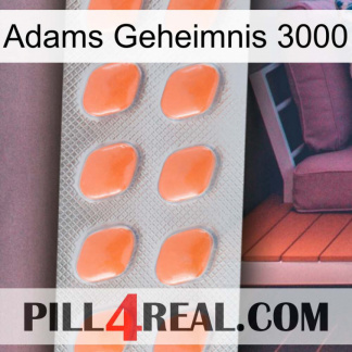 Adams Secret 3000 26